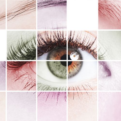 EMDR Therapy